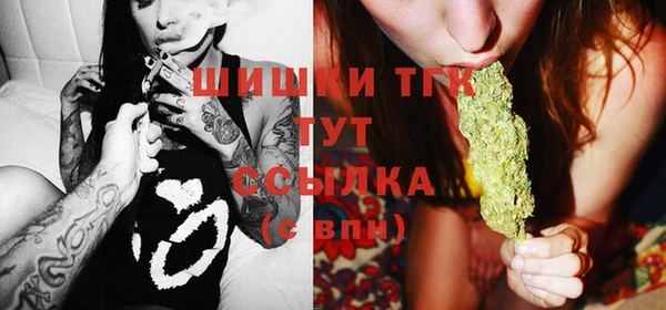 сатива Алексеевка