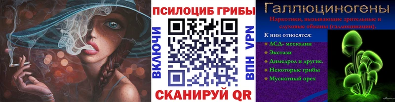 Галлюциногенные грибы мицелий Богучар